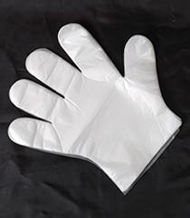 PE Gloves